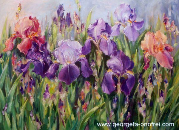 Ирисы художница Marianne Broome