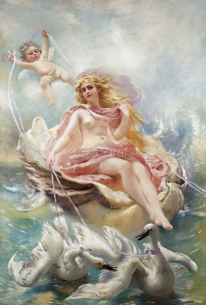 Девушка в ракушке