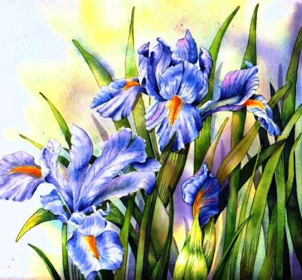 Фиолетовые ирисы в живописи