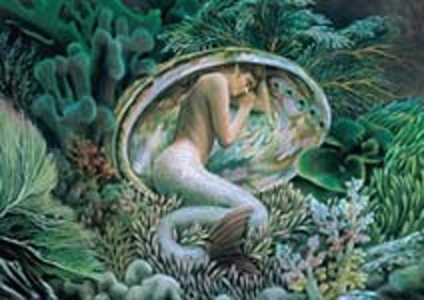 Майкл Уэлан ракушки