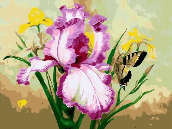 Марианна Брум (Marianne Broome)