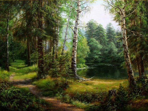 Сосновый Бор 4k