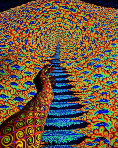 Психоделика нейросети