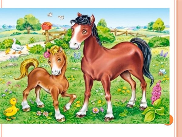 Пазлы животные для детей