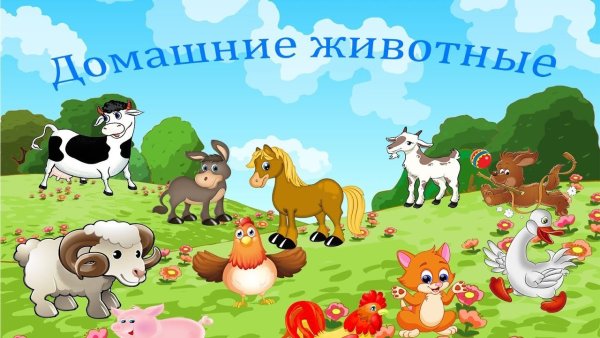 Домашние животные
