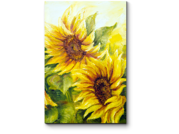 Подсолнухи маслом на холсте