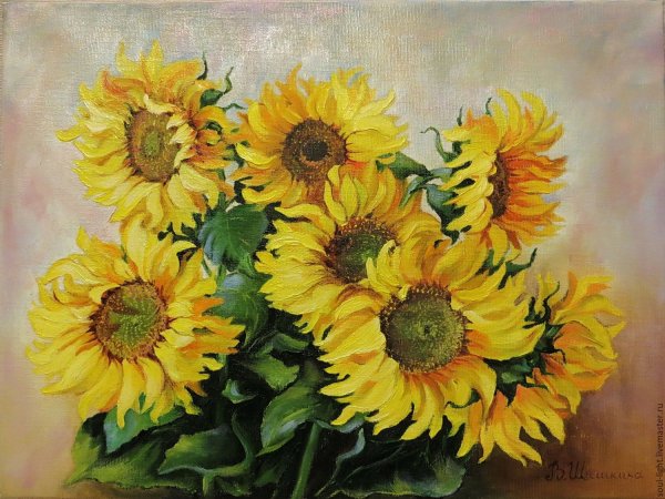 Вугар Мамедов мастер класс Подсолнухи