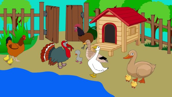 Птичий двор Гадкий утенок