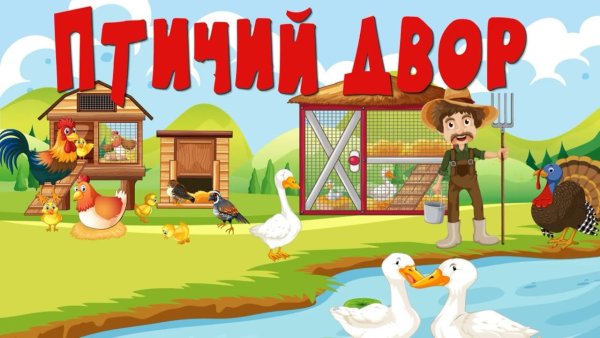 Птичий двор для детей