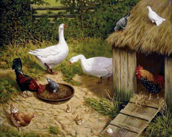 Картина птичий двор