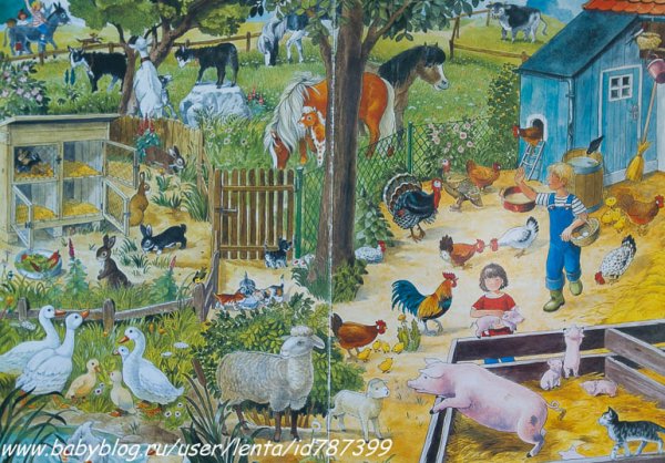 Птичий двор для детей