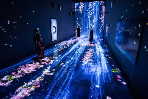 Виртуальная музей TEAMLAB