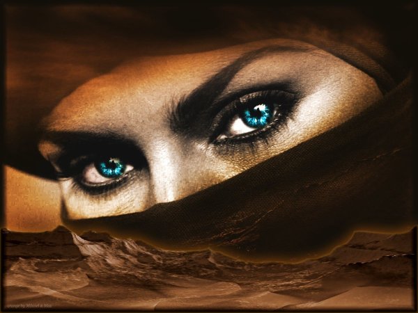 Альбом Энигма Shinnobu