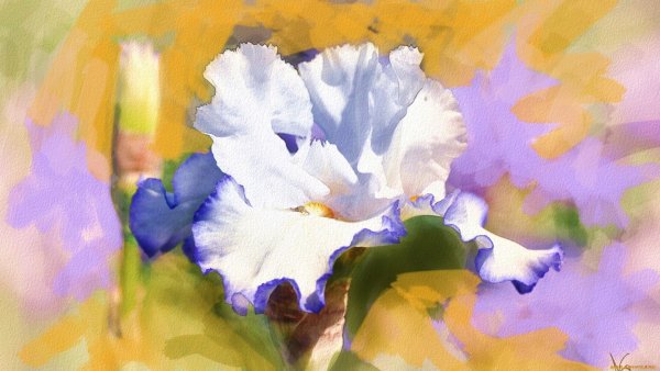 Цветочные акварели художника Alberto Guillen