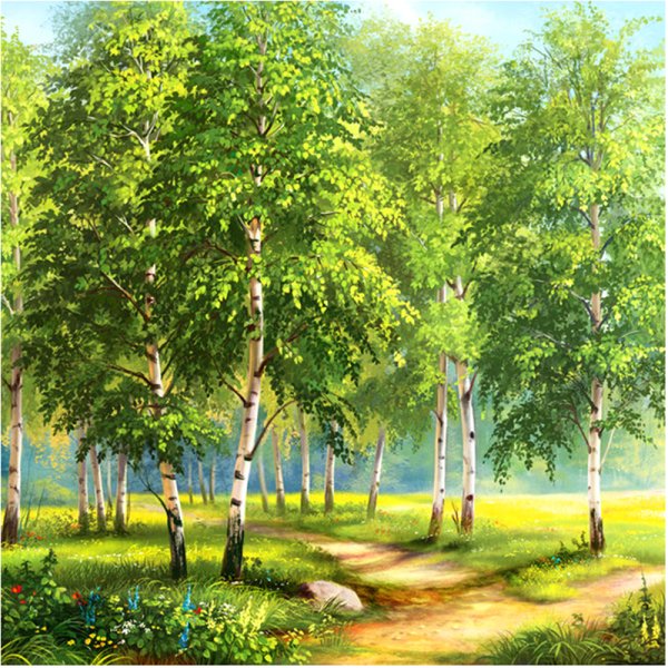 Алмазная вышивка Березовая роща