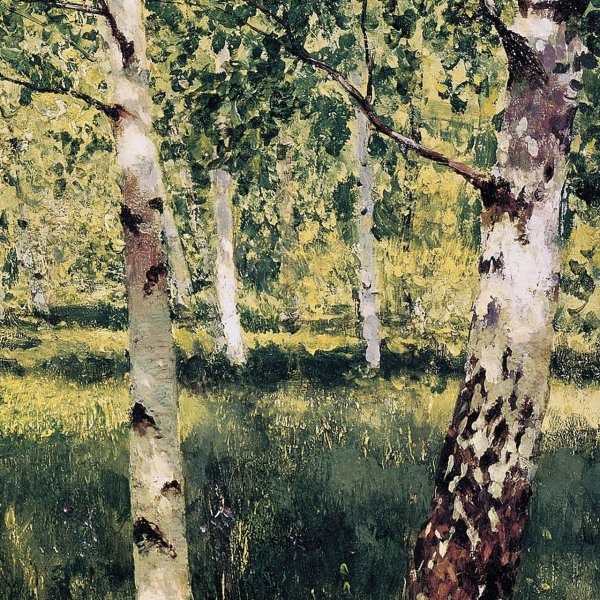 Березка рисунок