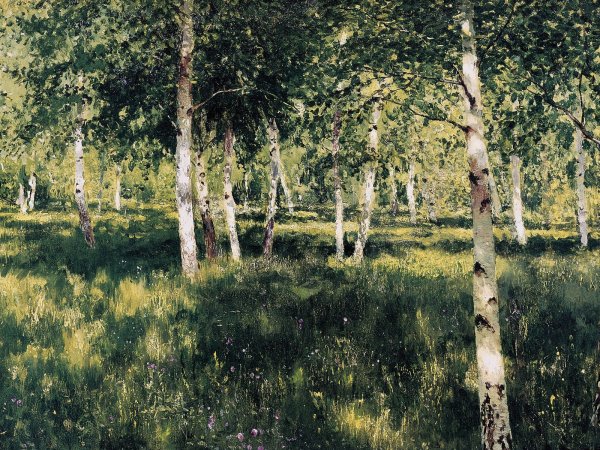 Березовая роща акварелью