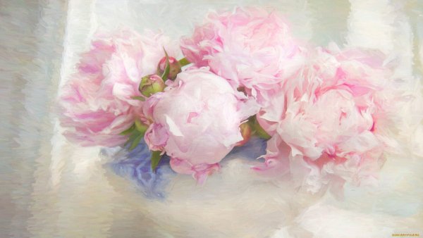 Аффреско пионы