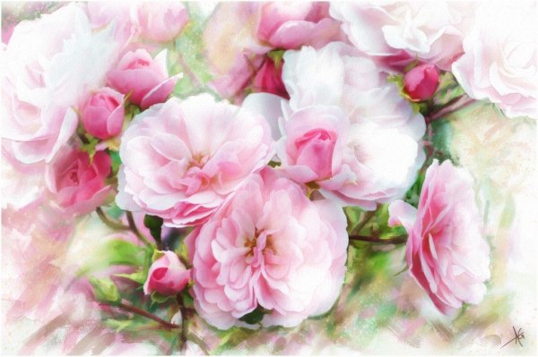 Акварельные цветы Альберто