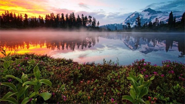 Чудесный мир природы