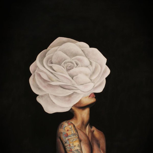Amy Judd картины