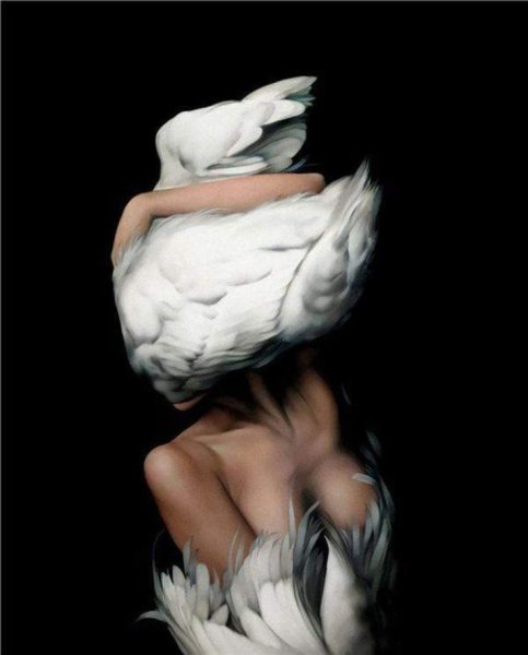 Эми Джадд сюрреалистические картины