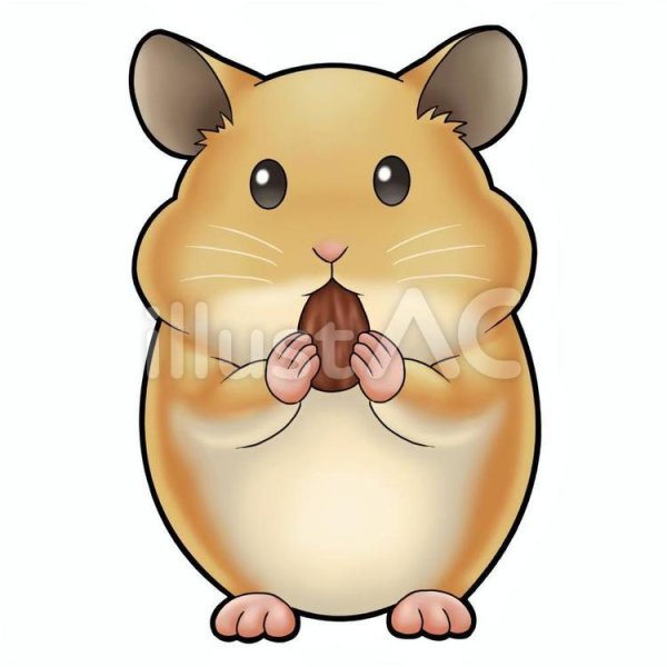 Нарисовать хомяка