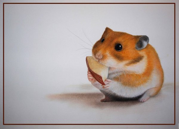 Хомяк пастелью