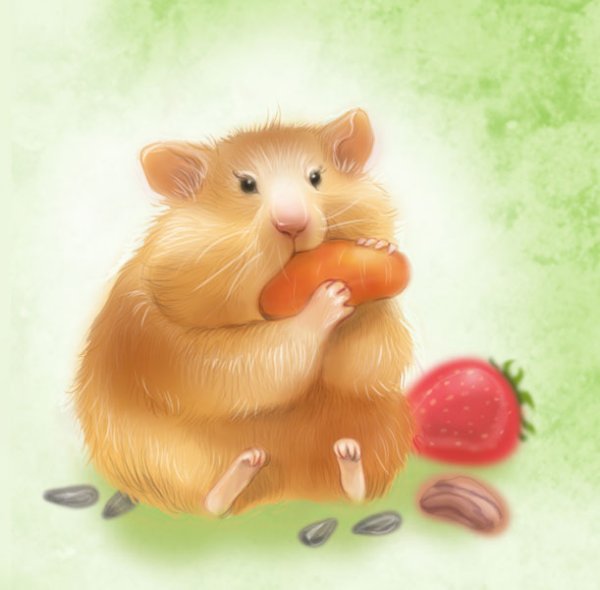 Хомяк для детей