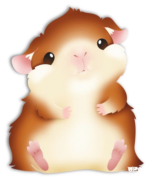 Хомяк на белом фоне