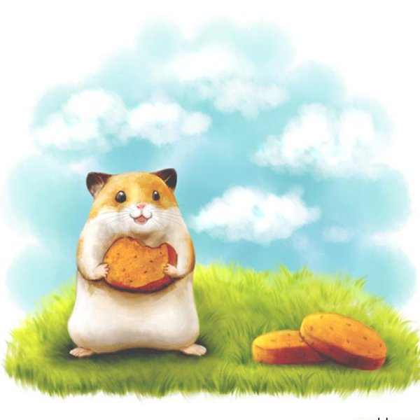 Фон с хомяками