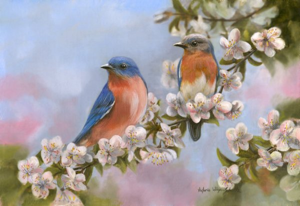 Птицы на ветке живопись