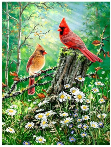 Дона Гельсингер картины птицы