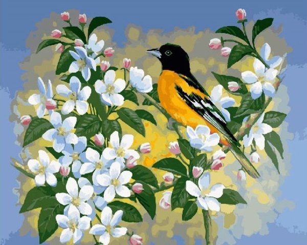 Джон Слоан цветы