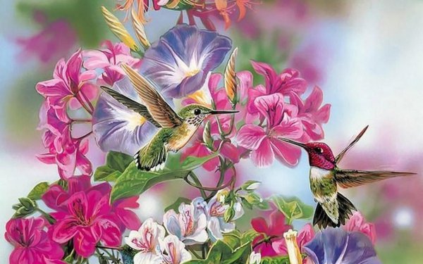 Живопись цветы и птицы