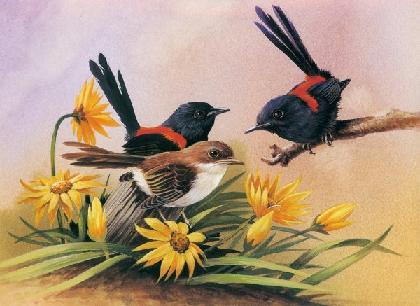 Eric Shepherd художник