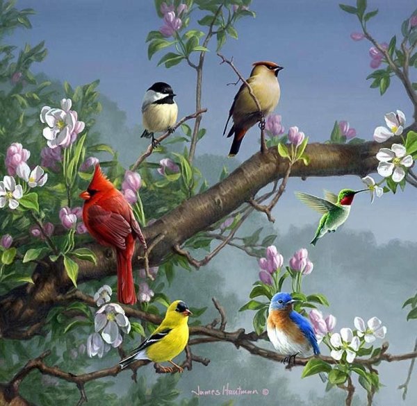 Джеймс Хаутман художник