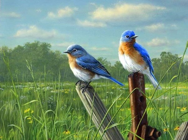 Художник James Hautman