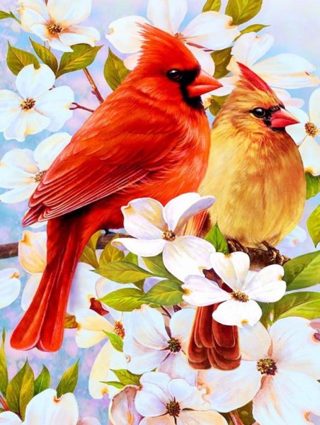 Птицы живопись