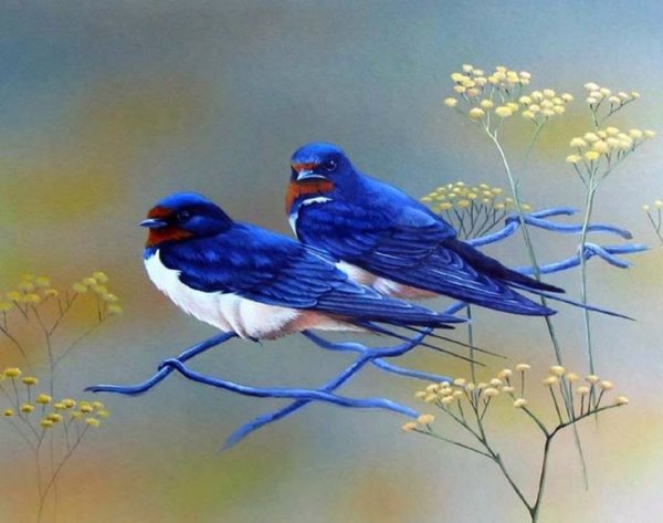 Картины художника Jan Weenink