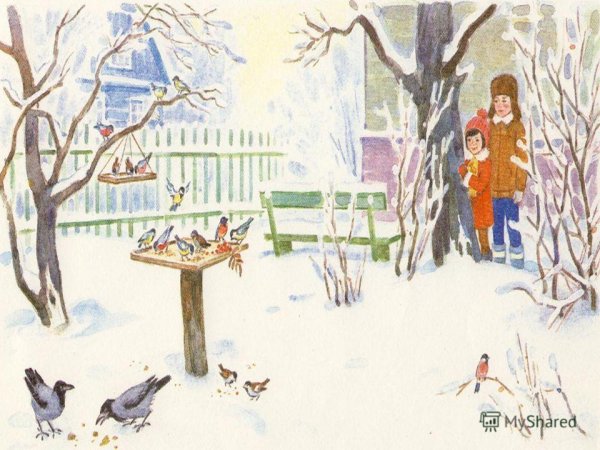 Сюжетная картина птицы на кормушке