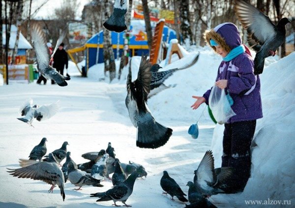 Девочка кормит голубей зимой