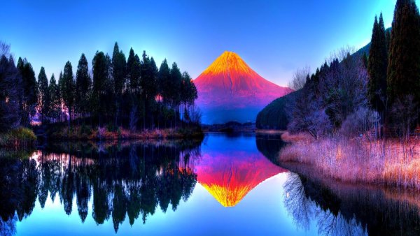 Разноцветная природа