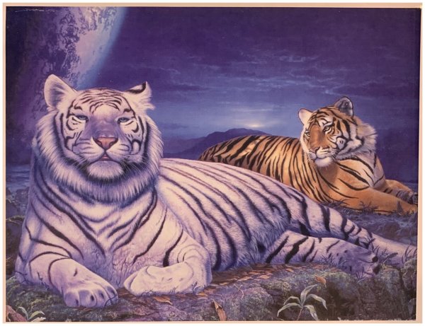 Тигр картина