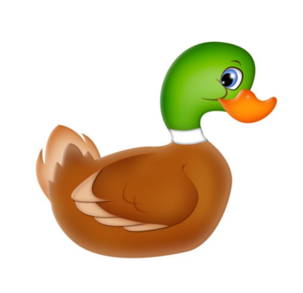 Утка для детей