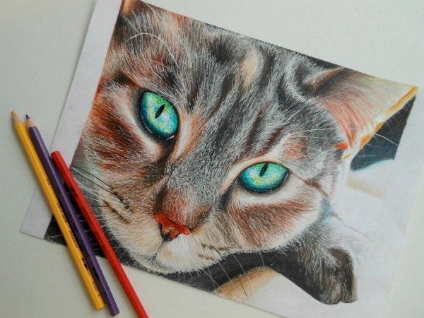 Рисунки акварельными карандашами