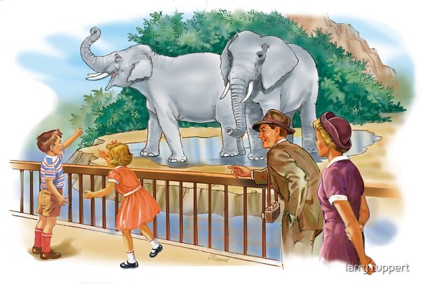 Зоопарк иллюстрация для детей