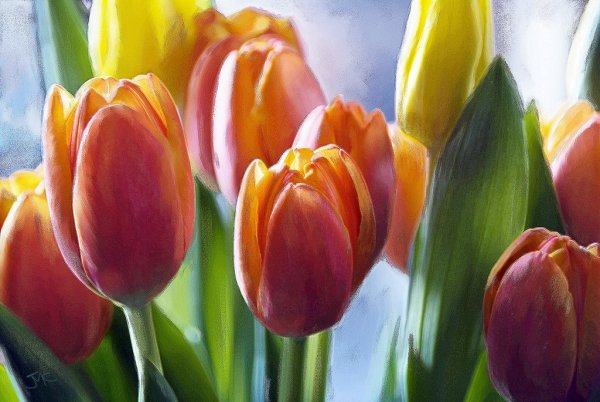 Тюльпаны маслом