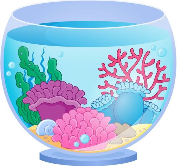 Аквариум без рыбок