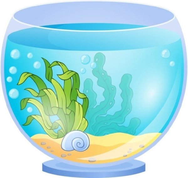 Аквариум без рыбок